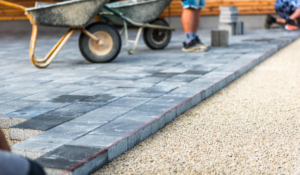 Best Driveway Paving Near Me  in Ovid, MI